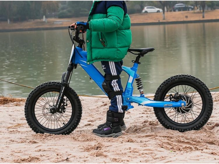 RFN EVO-20 EVO-20 2025 alt