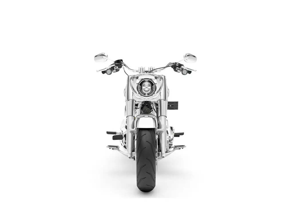 Harley-Davidson Fat Boy® Gray Ghost Reflection 2025