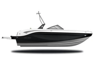 2025 Bayliner DX2000 DX2000 Black Hull Sides (White Bottom) alt