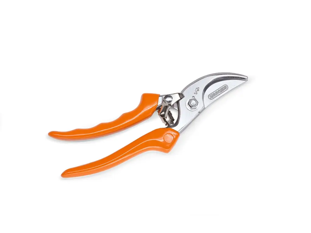 2025 Stihl PG 20 bypass secateurs