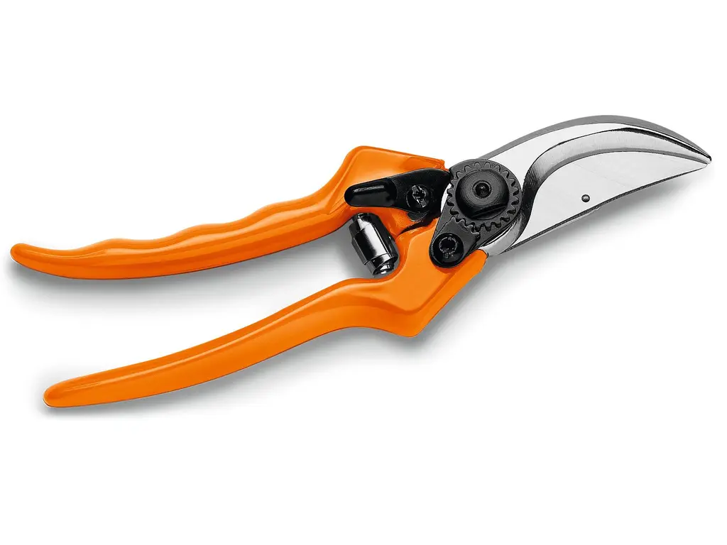 Stihl PG 30 bypass secateurs 2025