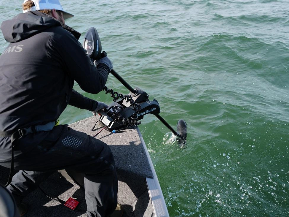 2025 Lund 1775 Pro Guide 1775 Pro Guide Tiller alt