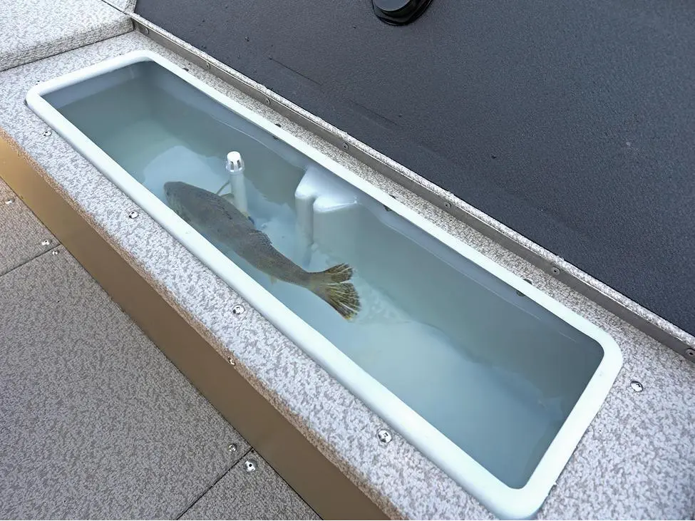 2025 Lund 1675 Alaskan Tiller