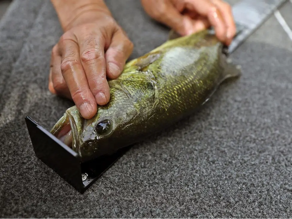 2025 Lund 1775 Renegade SS