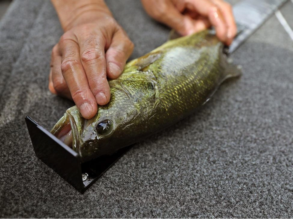 2025 Lund 1775 Renegade 1775 Renegade SS alt