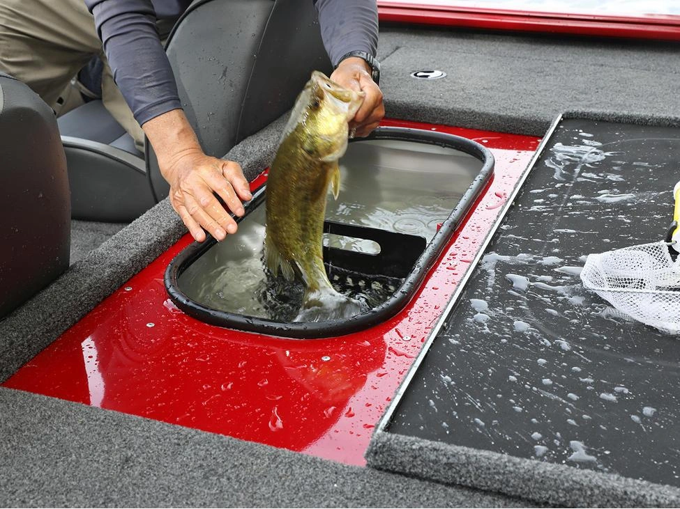 2025 Lund 1775 Renegade 1775 Renegade SS alt