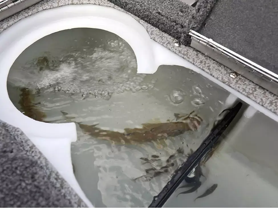 2025 Lund 1775 Pro Guide Tiller