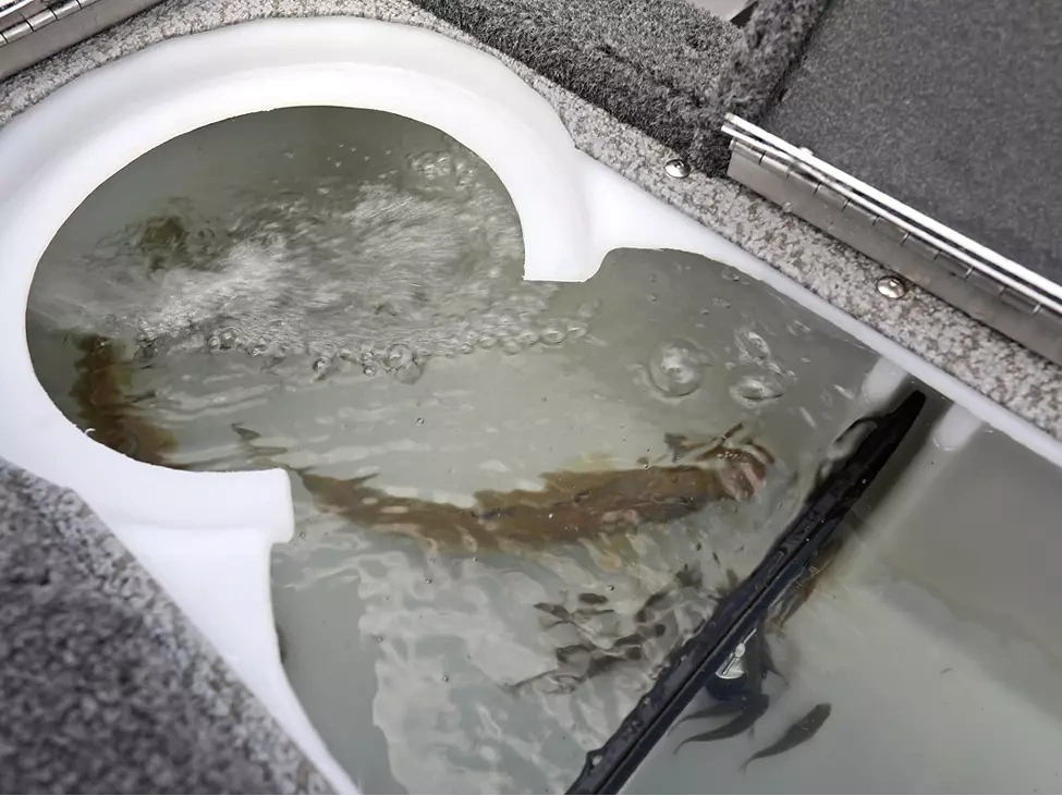 2025 Lund 1775 Pro Guide 1775 Pro Guide Tiller alt