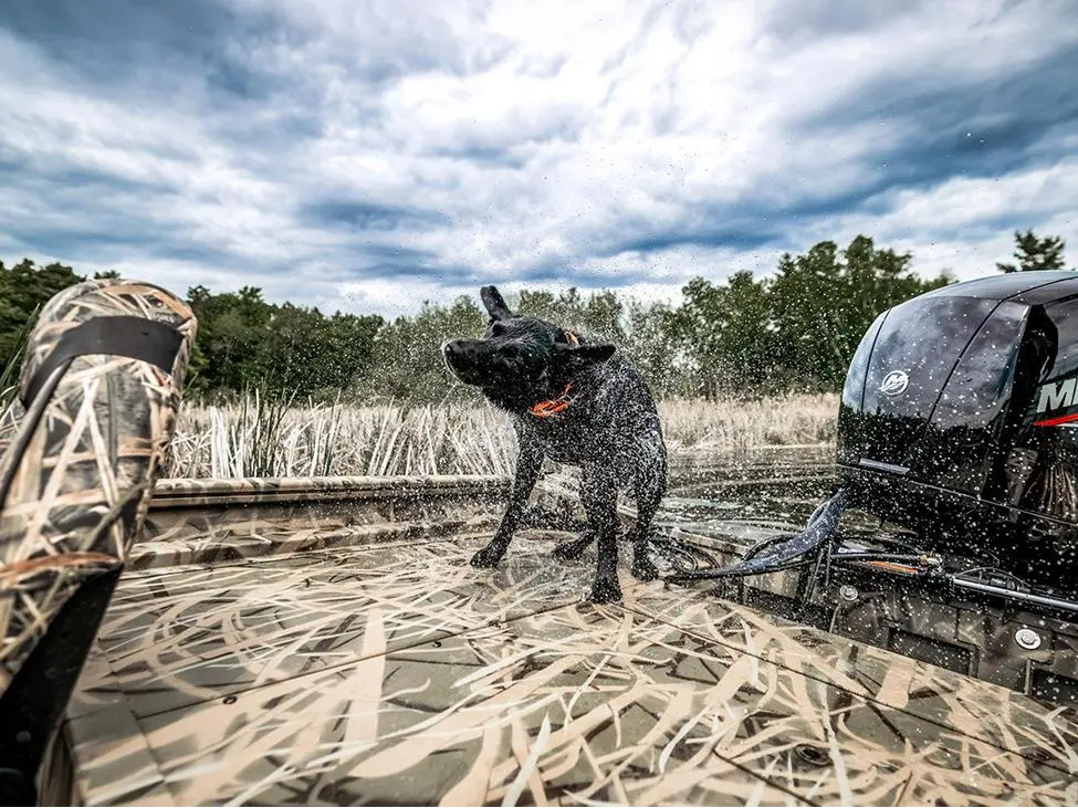 2025 Lund 2070 Predator CC