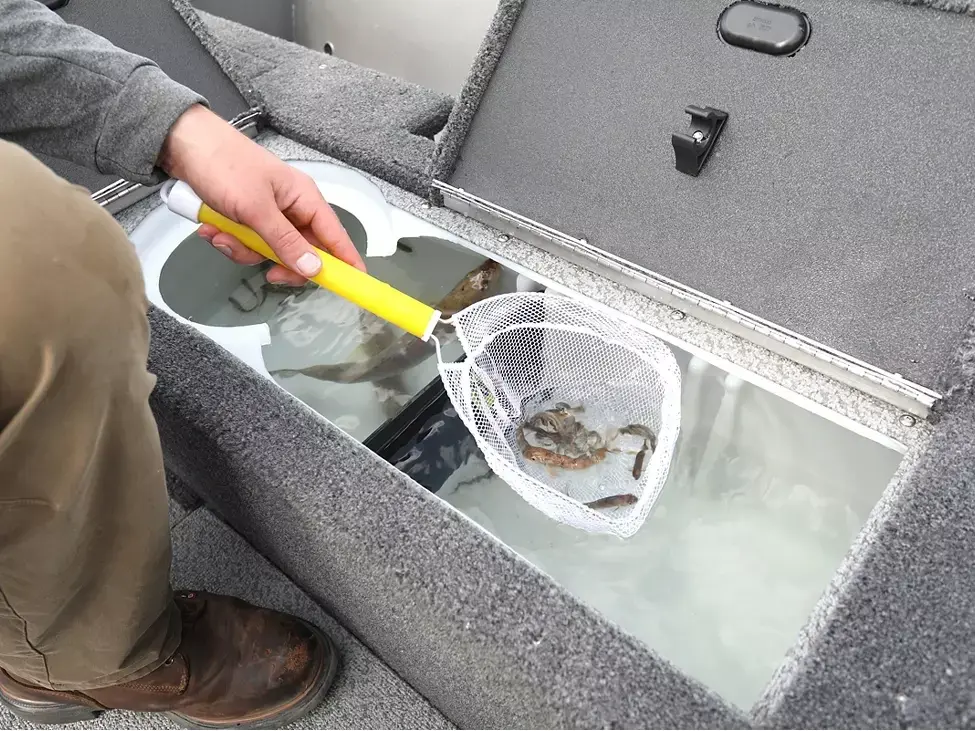 2025 Lund 1775 Pro Guide Tiller