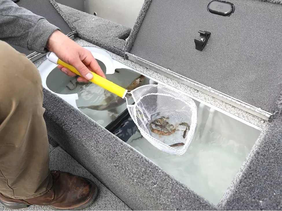 2025 Lund 1775 Pro Guide 1775 Pro Guide Tiller alt