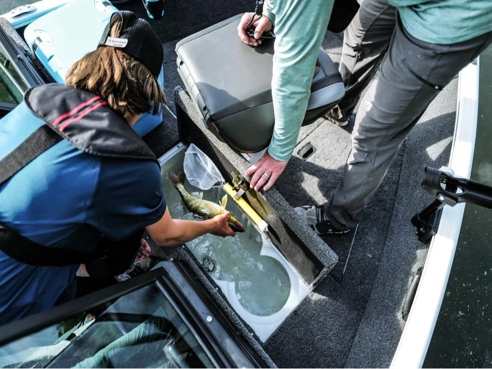 2025 Lund 1650 Rebel XL 1650 Rebel XL Tiller alt