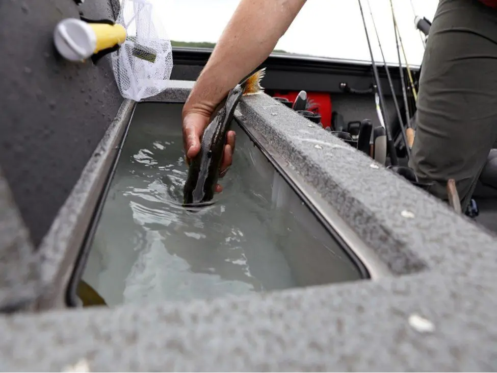 2025 Lund 1875 Fisherman Sport