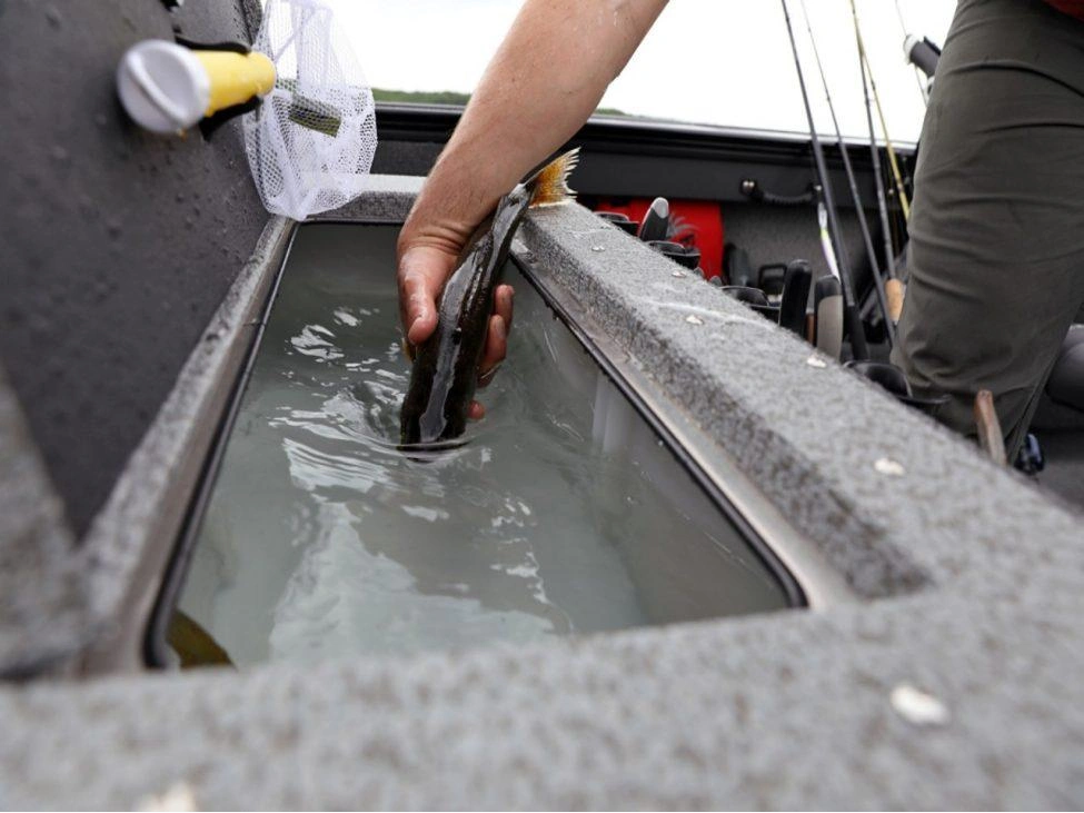 Lund 1875 Fisherman 1875 Fisherman Sport 2025 alt