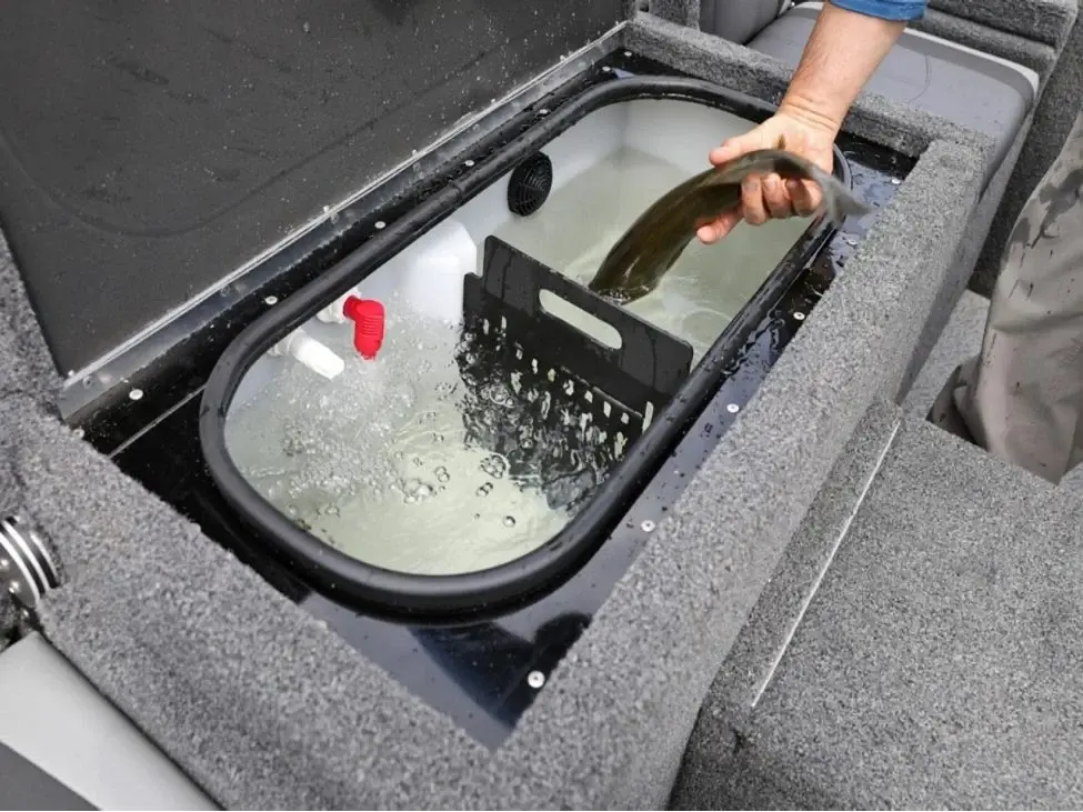 Lund 1975 Renegade SS 2025