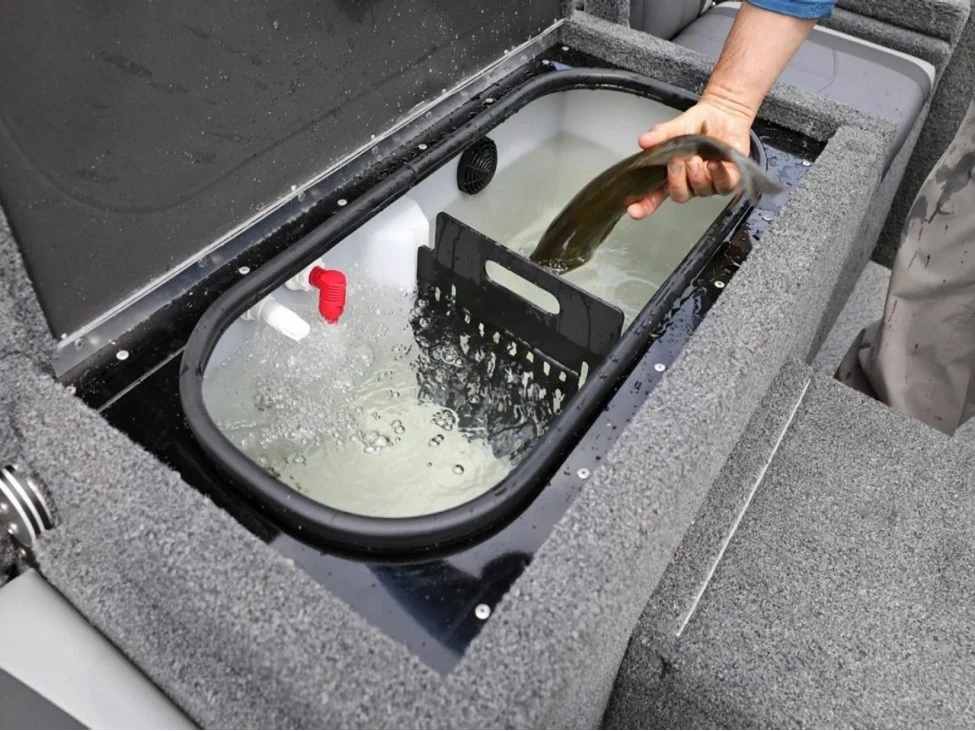 2025 Lund 1875 Renegade 1875 Renegade SS alt