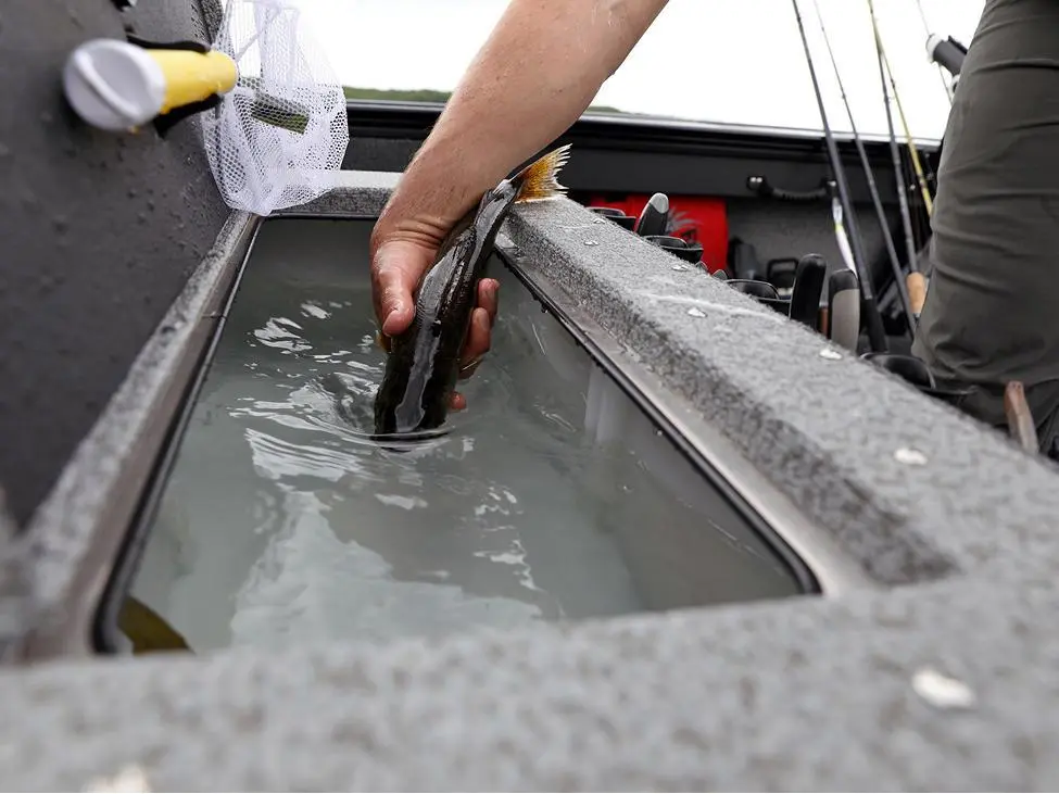 2025 Lund 2075 Fisherman Sport