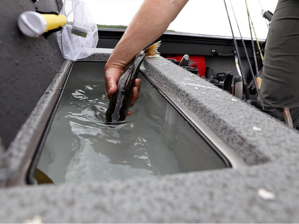 Lund 2075 Fisherman 2075 Fisherman Sport 2025 alt