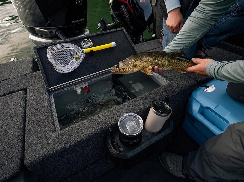 2025 Lund 2075 Tyee 2075 Tyee Sport alt