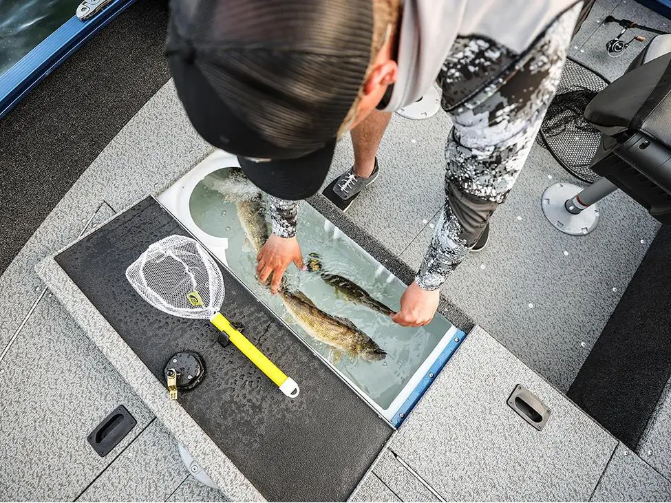 Lund 1650 Angler Tiller 2025