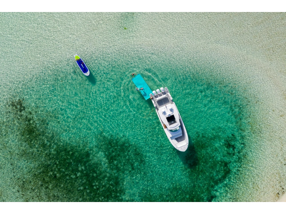 Regal 38 SAV 38 SAV 2025 alt