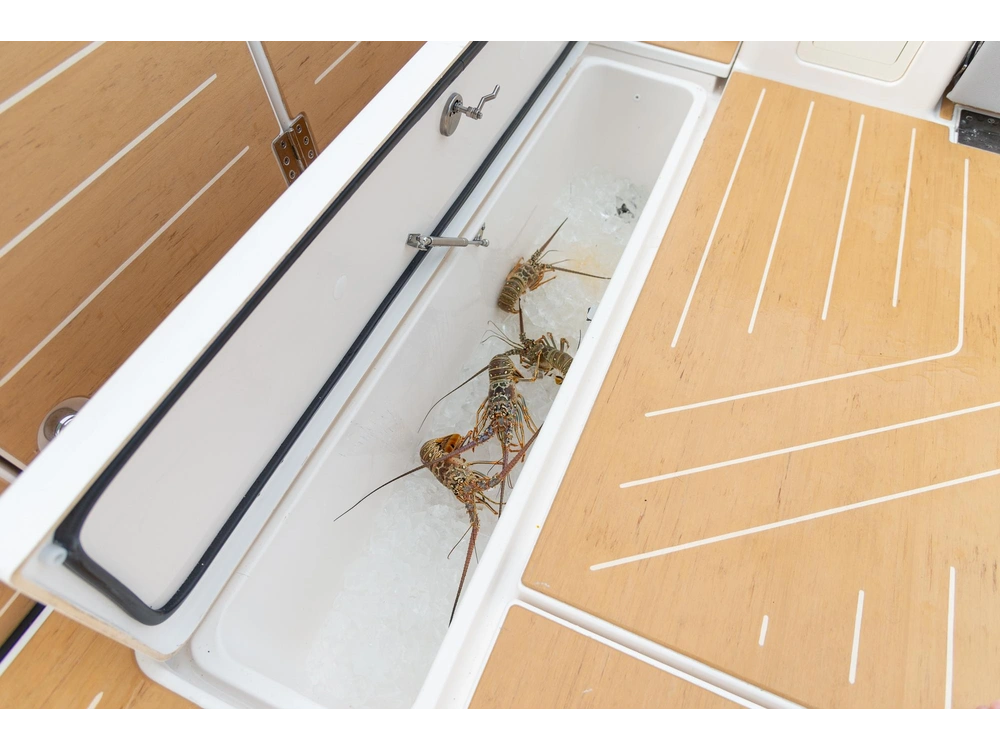 Regal 50 SAV 50 SAV 2025 alt