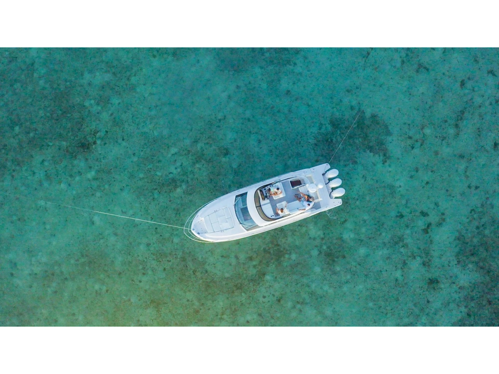 Regal 38 FXO 38 FXO 2025 alt