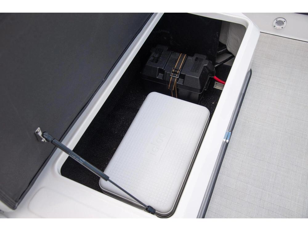 Regal LS6 Surf LS6 Surf 2025 alt