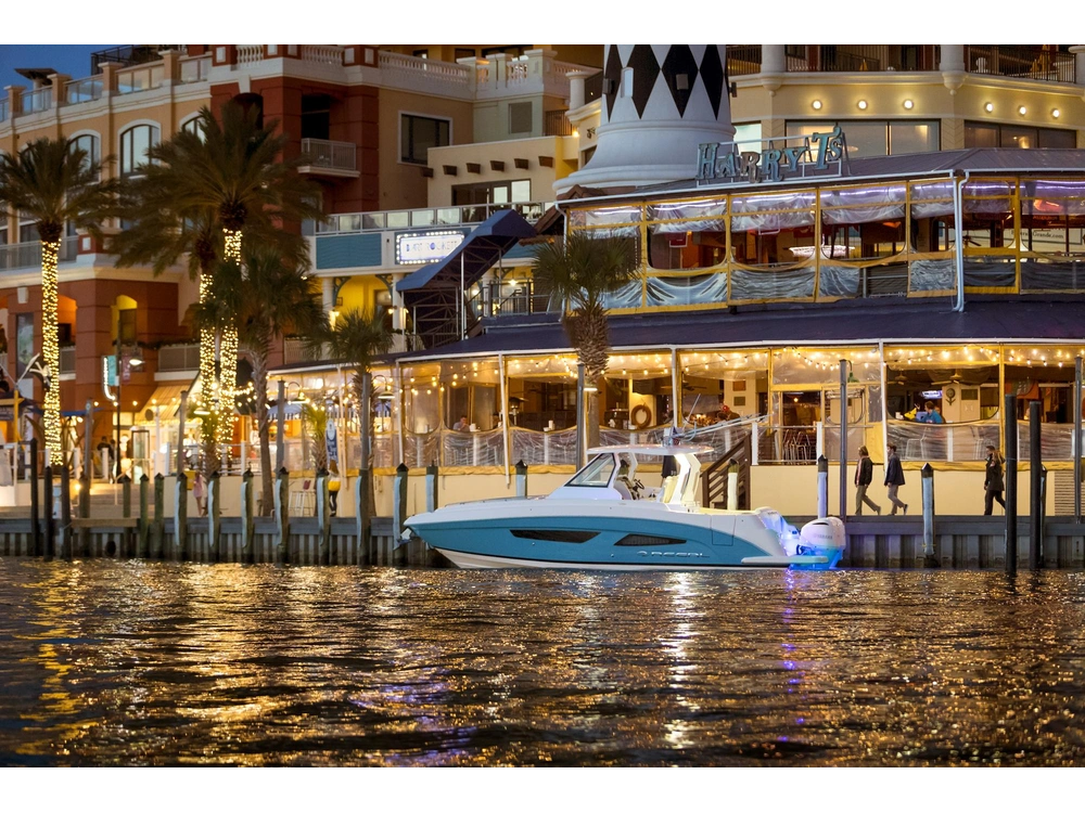 Regal 33 SAV 33 SAV 2025 alt