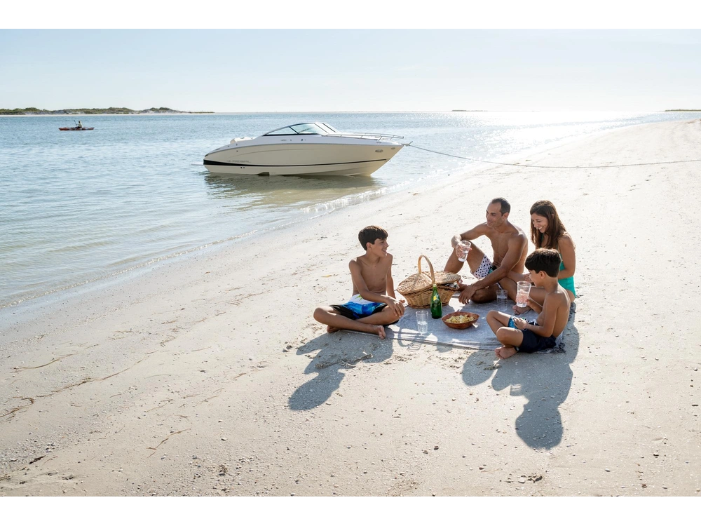 Regal LS4C LS4C 2025 alt