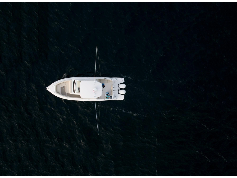 Regal 33 SAV 33 SAV 2025 alt