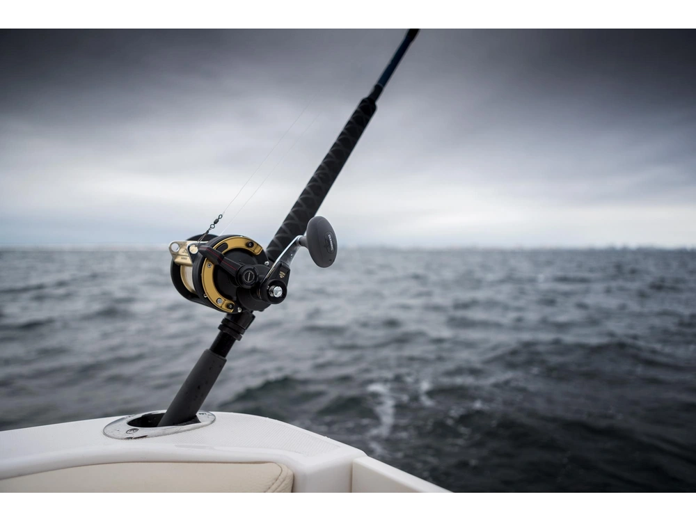 Regal 33 SAV 33 SAV 2025 alt