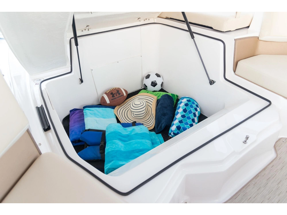 Regal 21 OBX 21 OBX 2025 alt