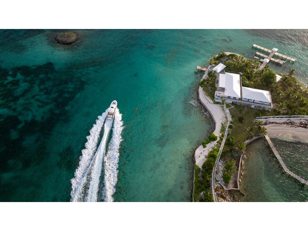 Regal 43 SAV 43 SAV 2025 alt