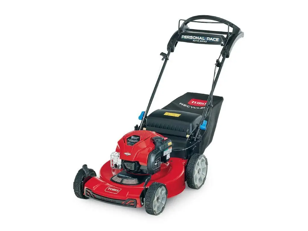 2025 Toro 22 in. (56cm) Recycler® w/ Personal Pace® Gas Lawn Mower (21465)