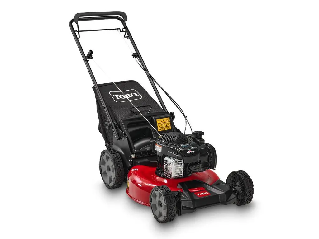 2025 Toro 21 in. (53 cm) Recycler® Self-Propel Gas Lawn Mower
