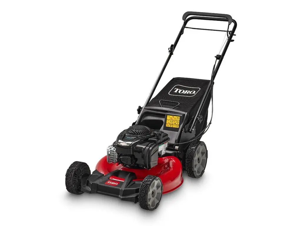 2025 Toro 21 in. (53 cm) Recycler® Self-Propel Gas Lawn Mower