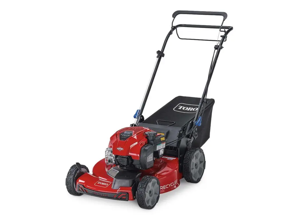 2025 Toro 22 in. (56cm) Recycler® Self-Propel Gas Lawn Mower (21445)