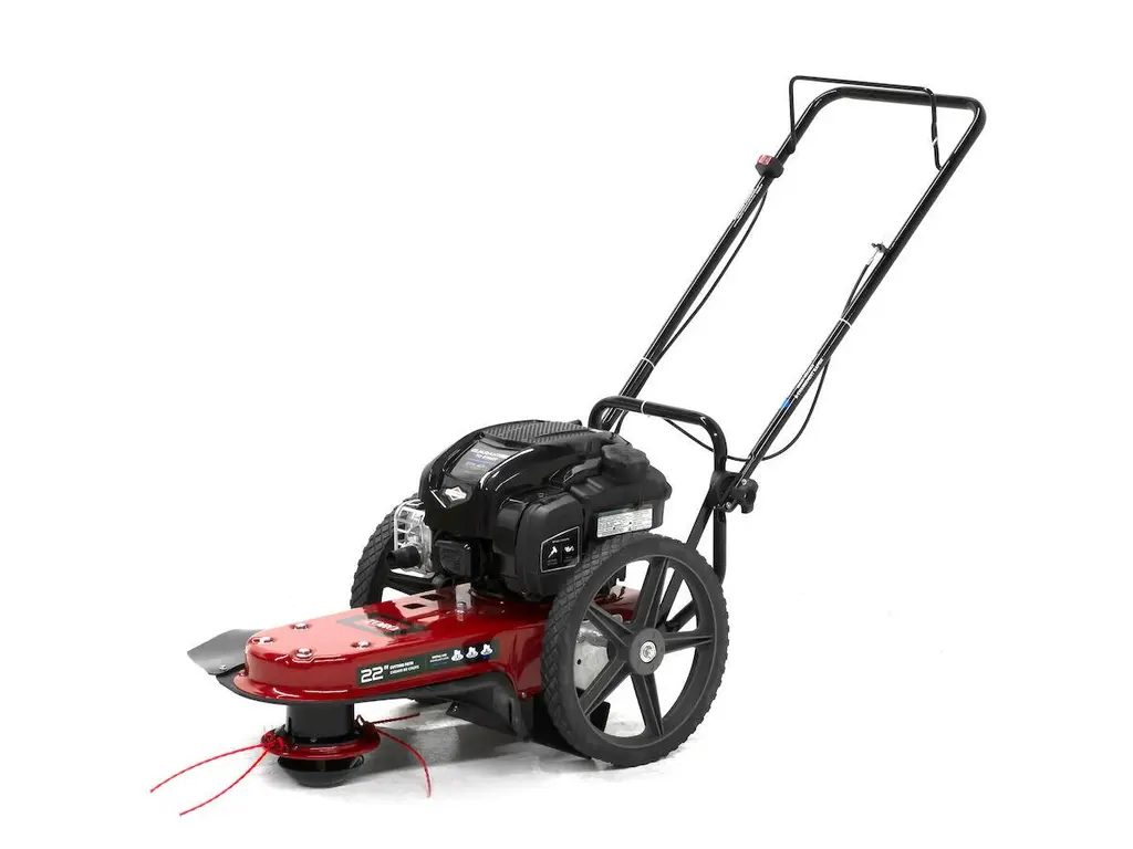 Toro Tondeuse débroussailleuse à fil de 56 cm (22 po) à moteur Briggs & Stratton de 163 cm³ 2025