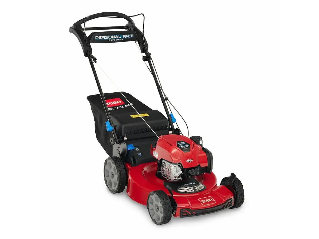2025 Toro 22 in. (56cm) Recycler® w/ Personal Pace® Gas Lawn Mower (21465)