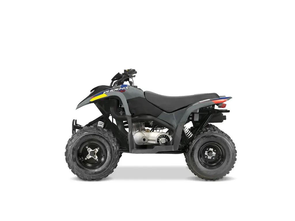 2026 Polaris Phoenix 200 Storm Gray