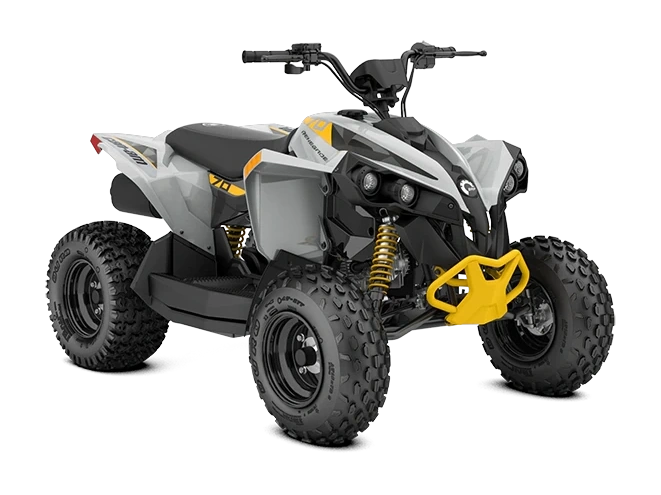 2026 Can-Am Renegade EFI Renegade EFI Catalyst Gray 70 alt