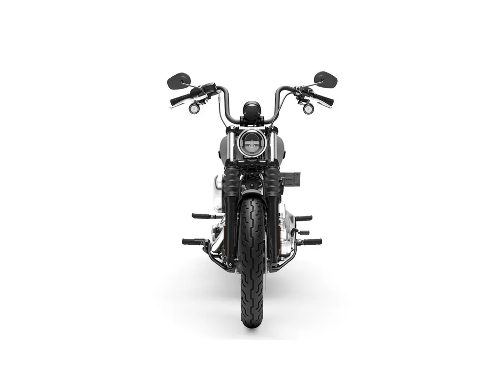 2025 Harley-Davidson Street Bob® Billiard Gray (Spoke Wheels)
