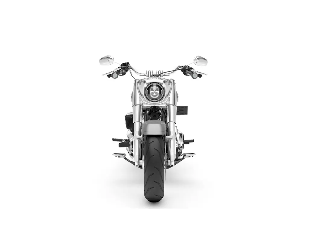 2025 Harley-Davidson Fat Boy® Billiard Gray