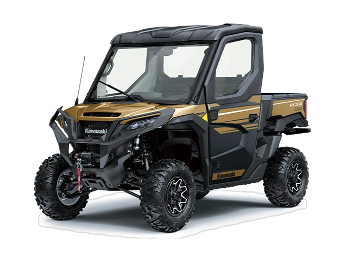 Kawasaki RIDGE LIMITED HVAC RIDGE LIMITED HVAC Or Ombré Métallisé 2025 alt