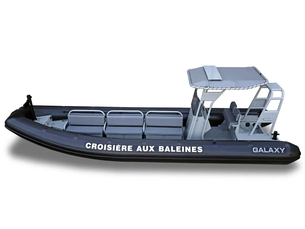 2025 Gala Boats Pilot – P8 Whale Watching-1
