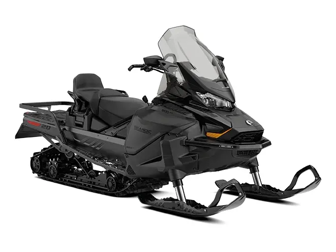 2026 Ski-Doo Skandic LE 600 ACE Black