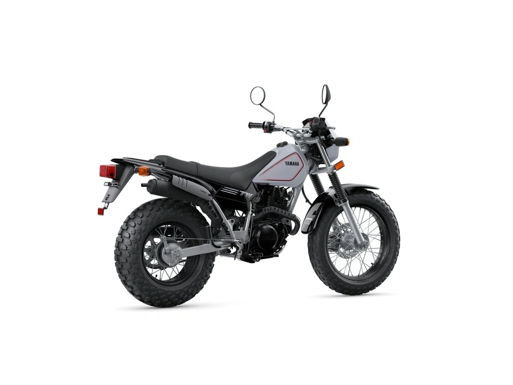 2026 Yamaha TW200 TW200 Gallant Gray alt