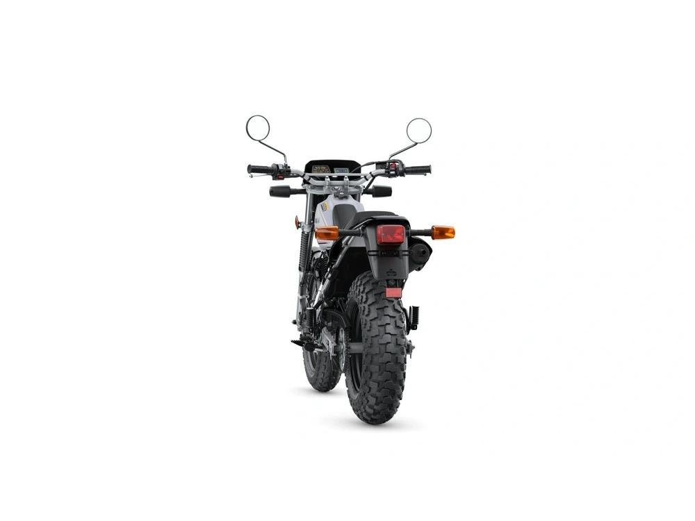 2026 Yamaha TW200 TW200 Gallant Gray alt