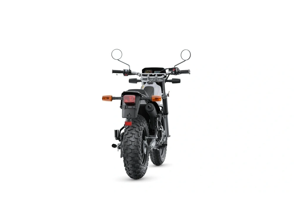 2026 Yamaha TW200 TW200 Gallant Gray alt